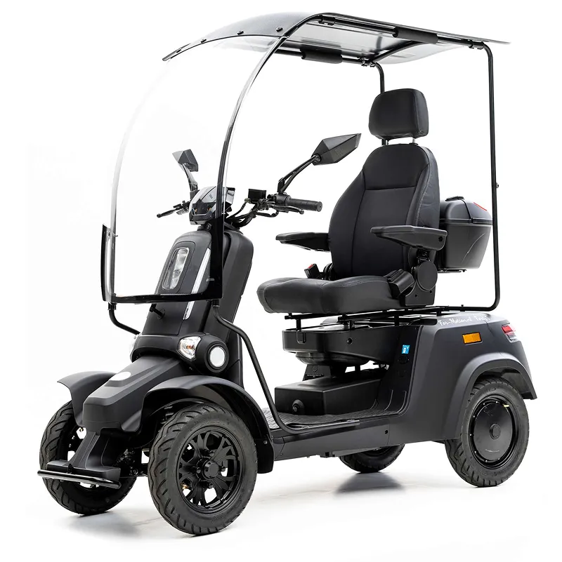 4-Rad-Elektromobile